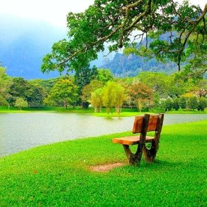 Meet your Posher, Tee